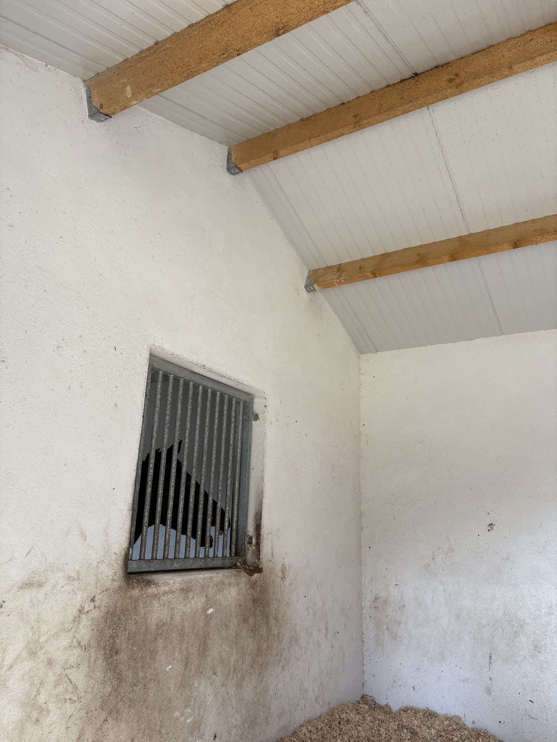 仏シャンティイにある清水厩舎の中（撮影：藤本真育）