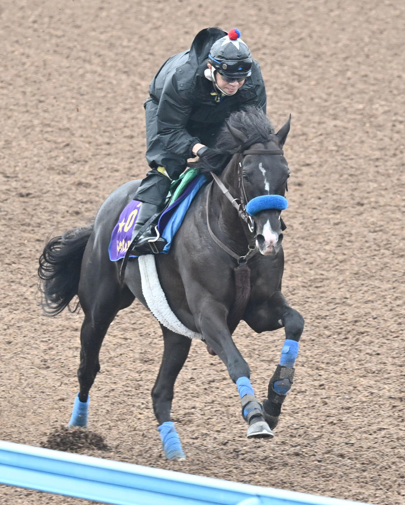 美浦ウッドを単走で追い切るドゥレッツァ（撮影・千葉一成）