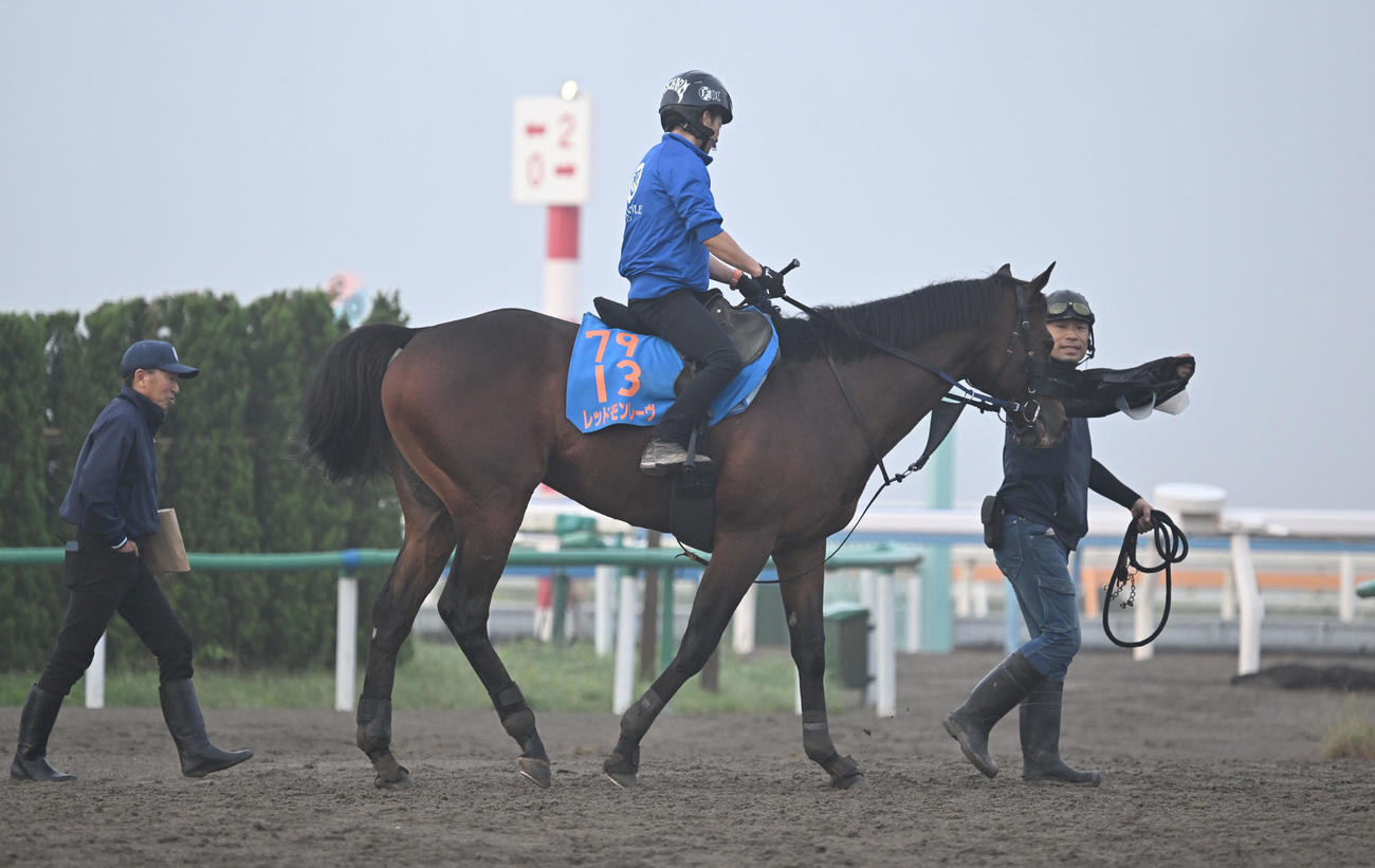 追い切りを終え、引き揚げるレッドモンレーヴ（撮影・千葉一成）