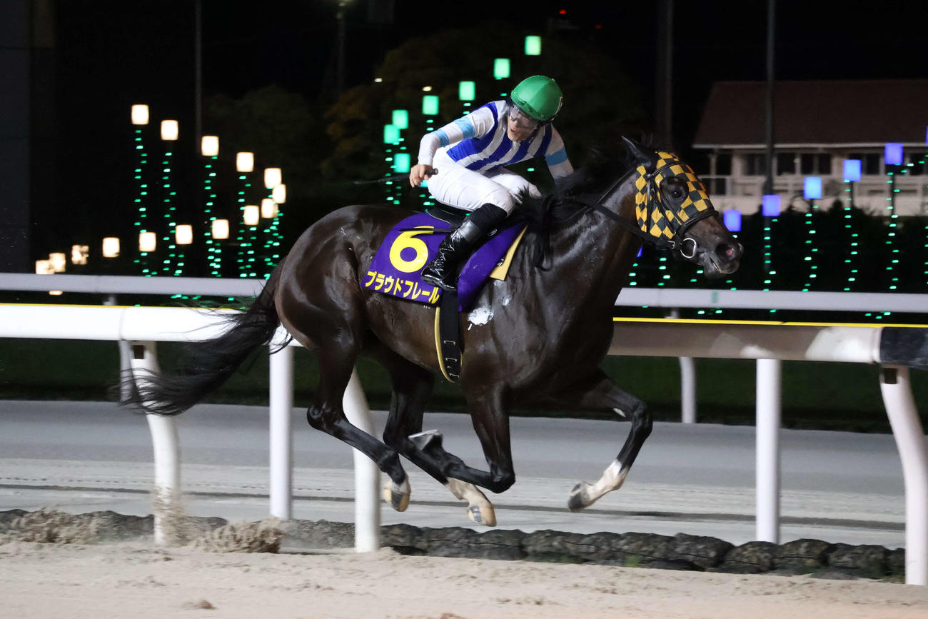3馬身差の逃げ切りでマリーンCを制したプラウドフレールと張田昂騎手