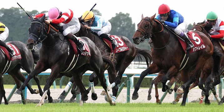 スワンＳを制したダノンマッキンリー＝2024年10月26日、京都競馬場