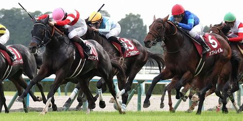スワンSを制したダノンマッキンリー=2024年10月26日、京都競馬場