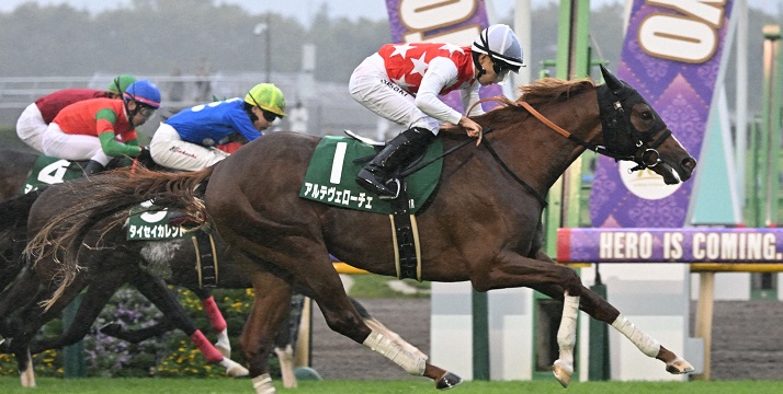 サウジアラビアＲＣを制したアルテヴェローチェ＝2024年10月５日＝東京競馬場