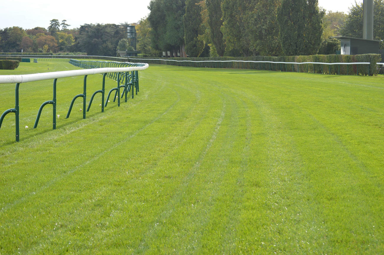 パリ大賞後に改修工事されたパリロンシャン競馬場のフォルスストレート（出口）