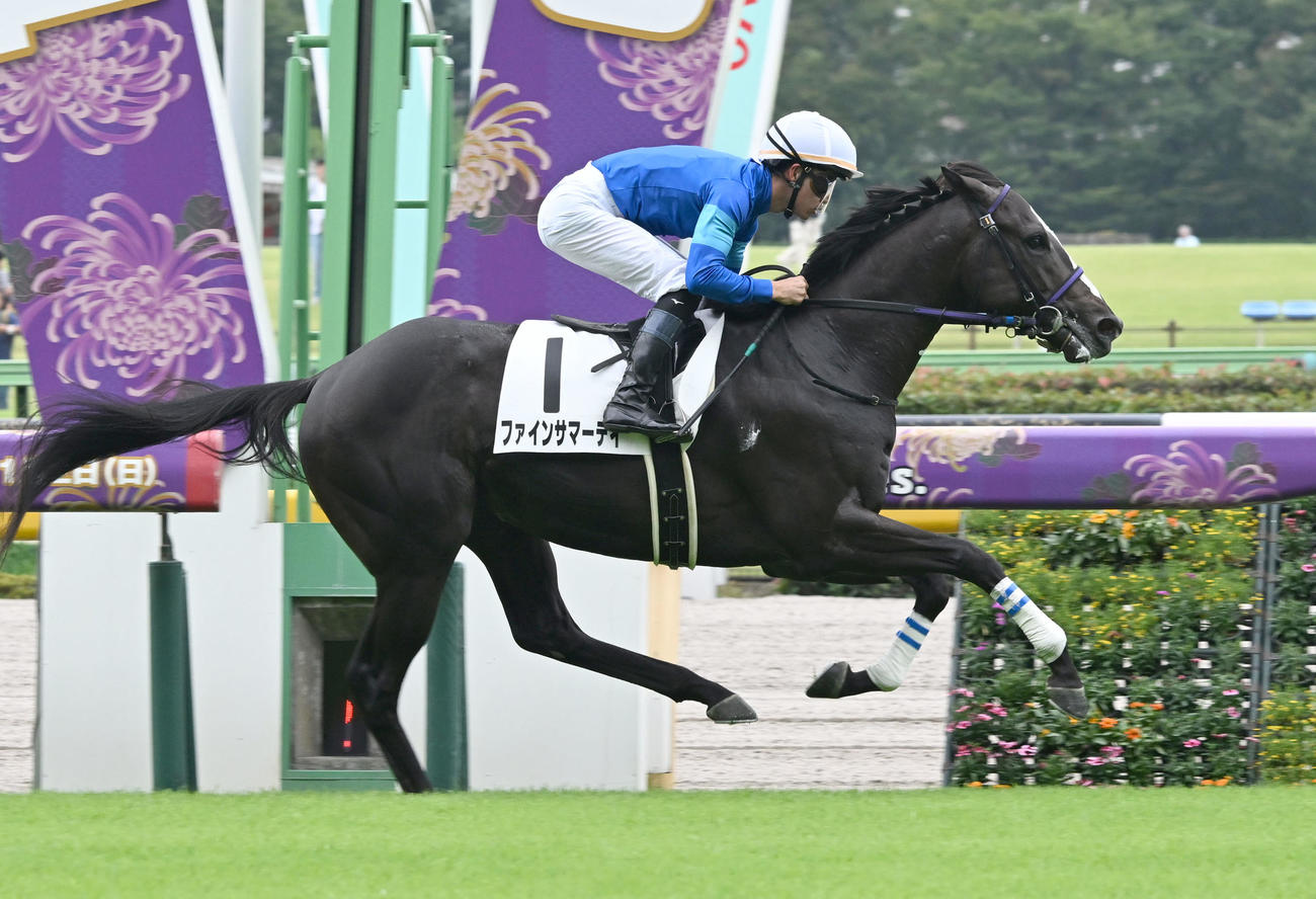 東京3R、2歳新馬戦を制したファインサマーデイと菅原明騎手（撮影・千葉一成）