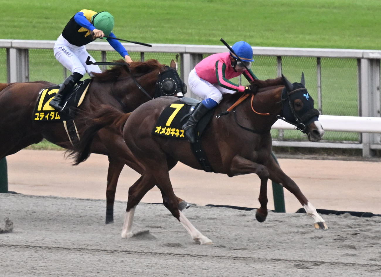 グリーンチャンネルCを制したオメガギネスと岩田康騎手（右）（撮影・千葉一成）