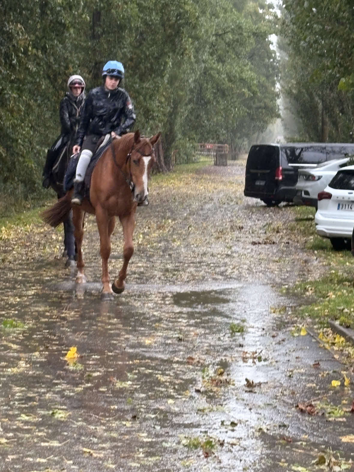 凱旋門賞前日の4日朝、日本馬3頭が滞在するシャンティイは大雨に見舞われた（撮影・藤本真育）