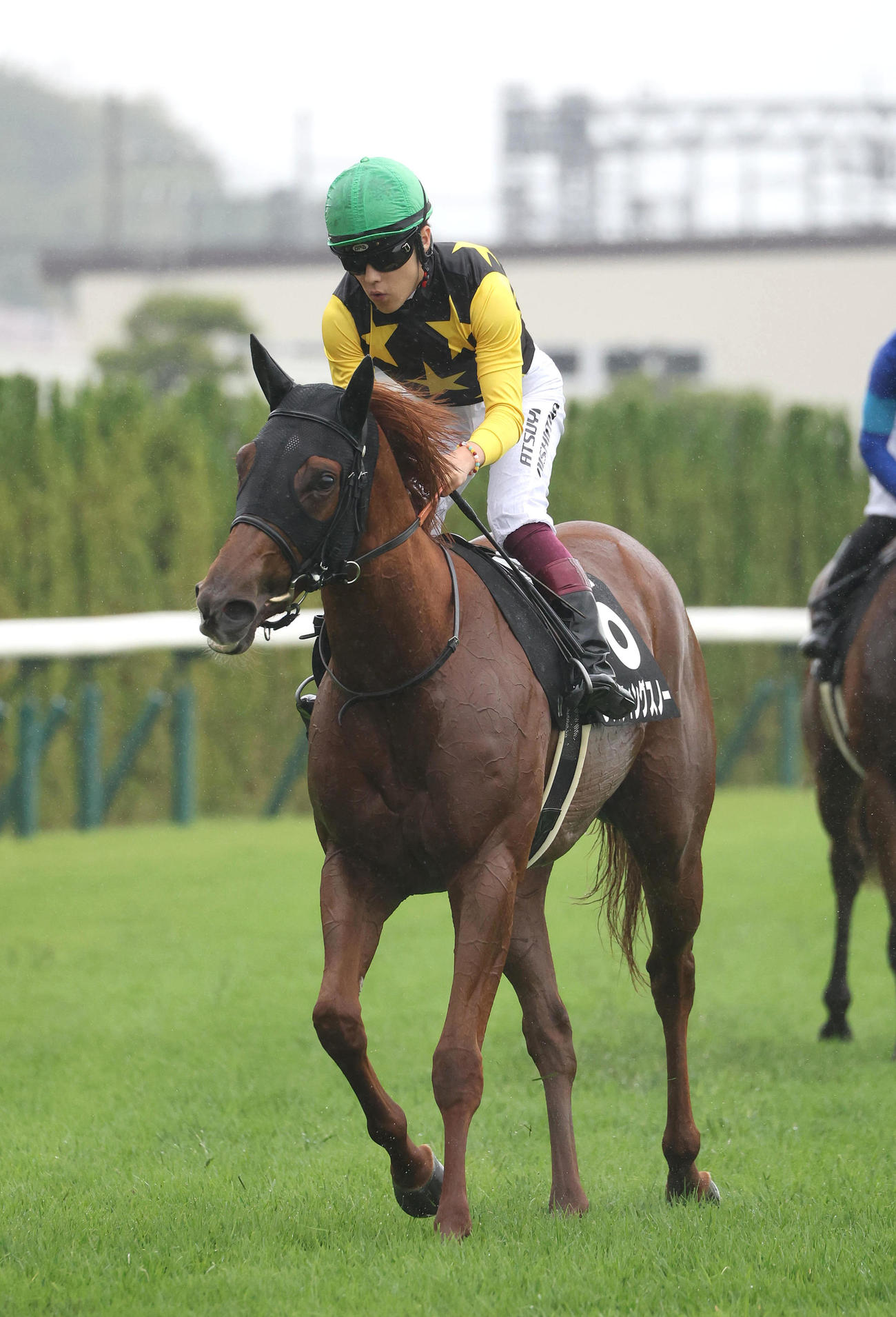 京都9R、りんどう賞を制したラスティングスノー（撮影・白石智彦）
