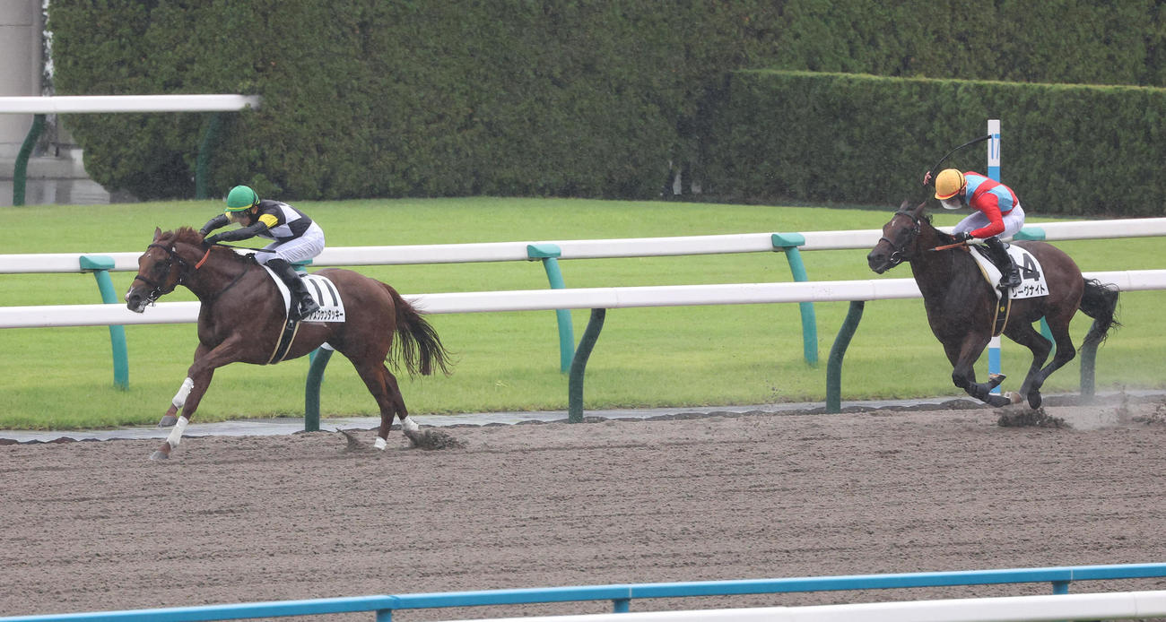 京都3R、逃げ切って新馬戦を制したアスクケンタッキー（左）（撮影・白石智彦）