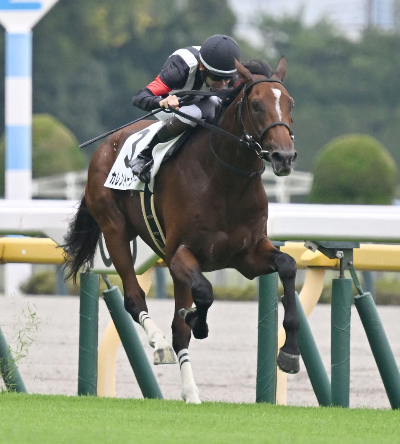 東京5R、2歳新馬戦を制したカレントゥルーシーと松山騎手（撮影・千葉一成）