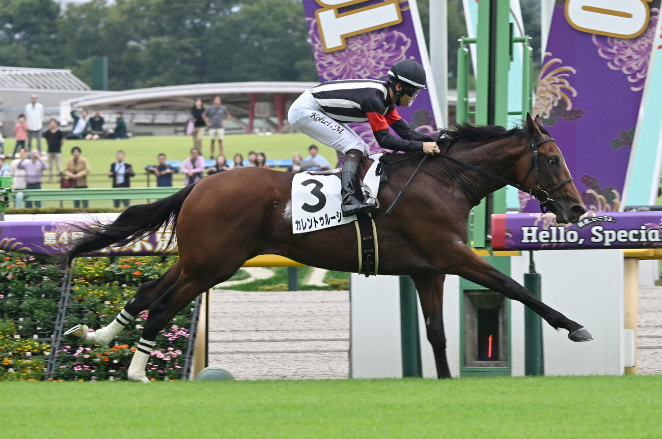 東京5R、2歳新馬戦を制したカレントゥルーシーと松山騎手（撮影・千葉一成）