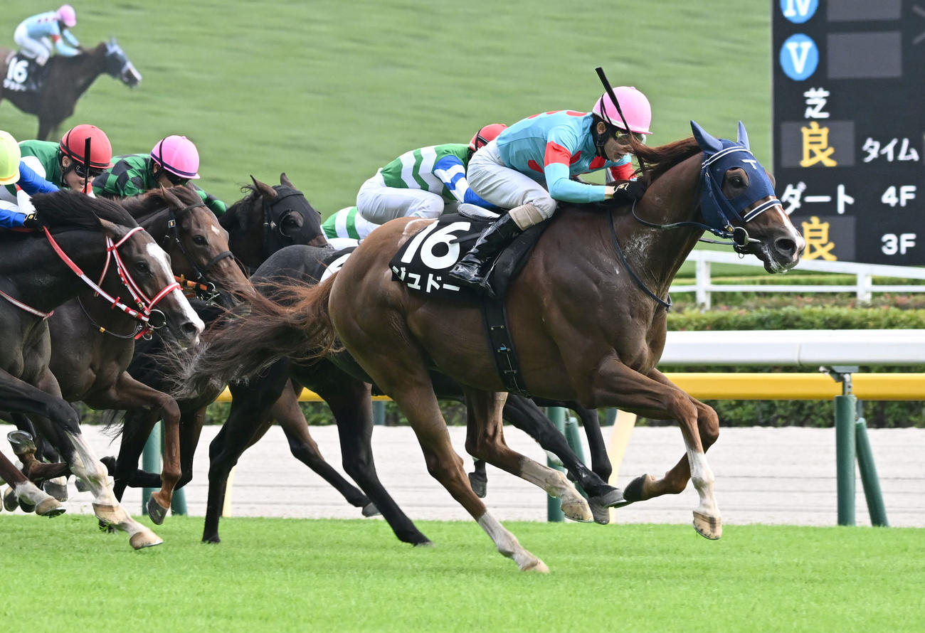 東京9R、tvk賞を制したジュドーと嶋田騎手（撮影・千葉一成）