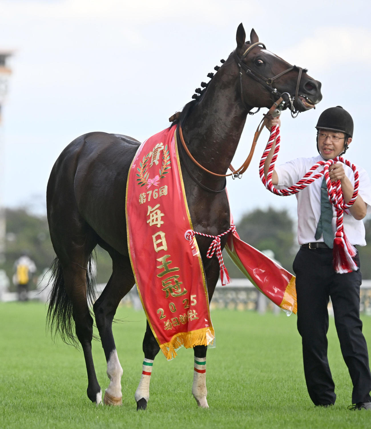 毎日王冠を津村騎手で制したレーベンスティール（撮影・千葉一成）