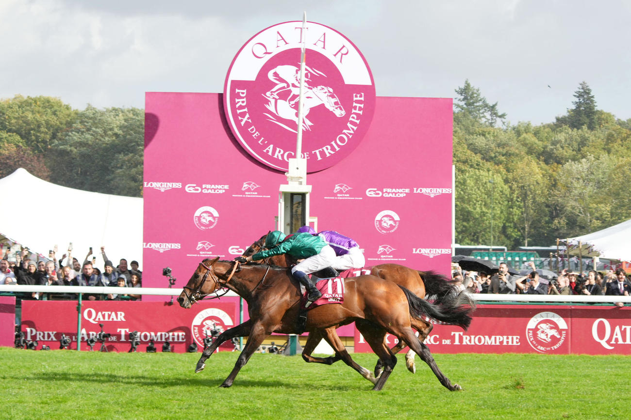 凱旋門賞を制したダリズ（手前）とミニーホーク（C）France　Galop