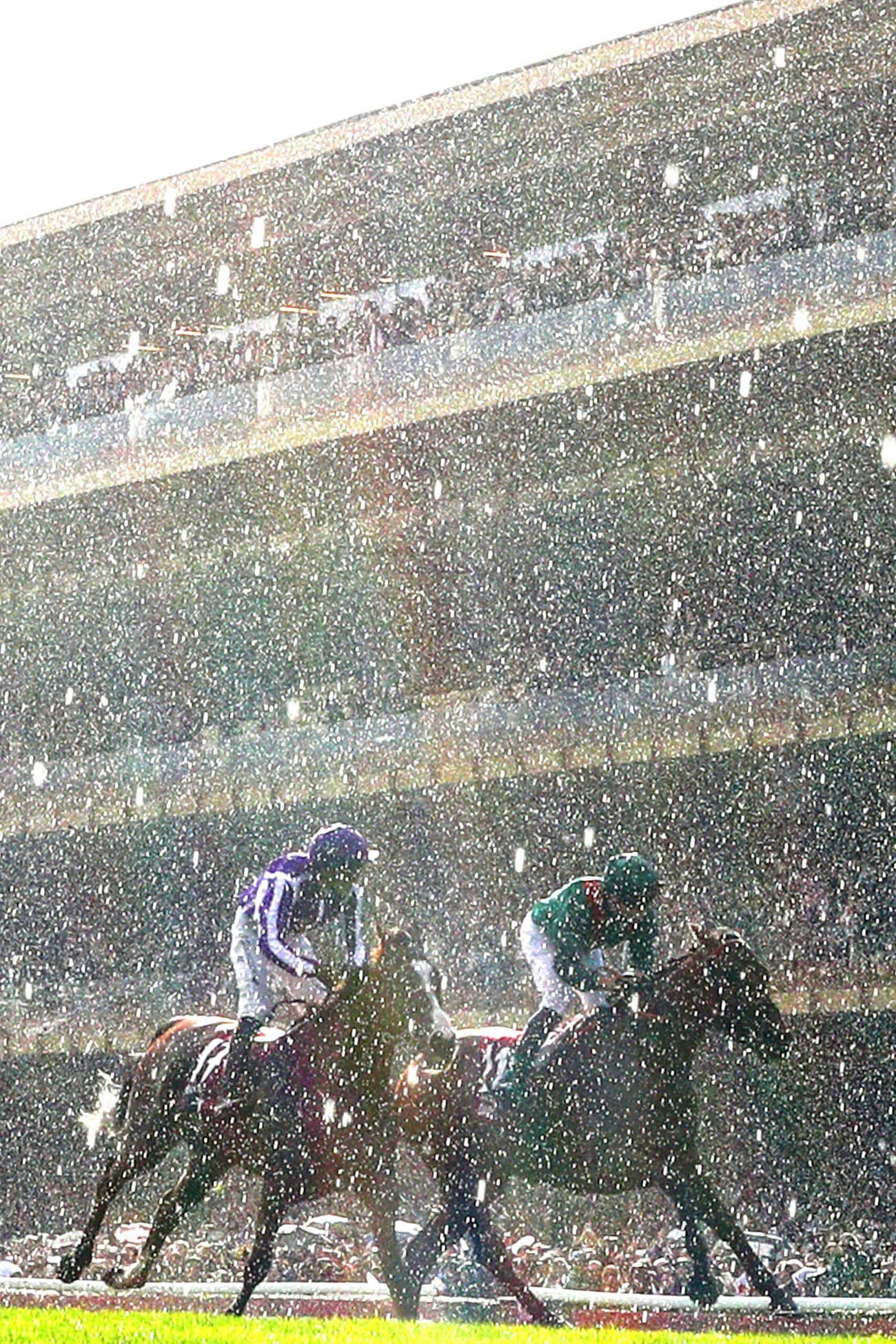 凱旋門賞を制したダリズ（右）と2着のミニーホーク（C）France　Galop
