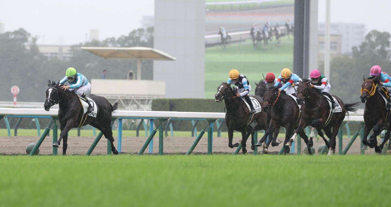 京都5R、逃げ切って新馬戦を制したコウギョク（左）（撮影・白石智彦）