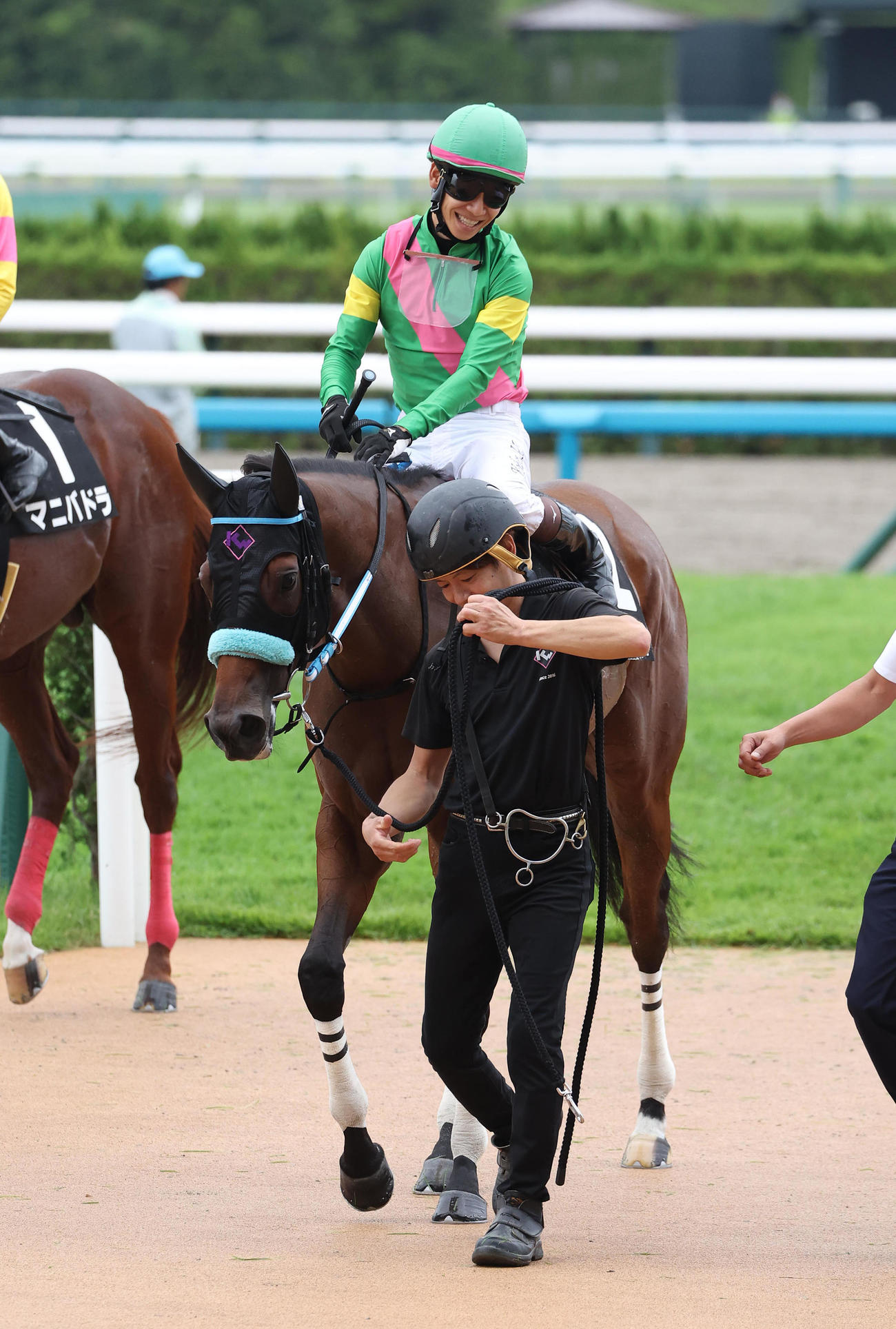 京都10R、藤森Sを制したタガノミスト（撮影・白石智彦）