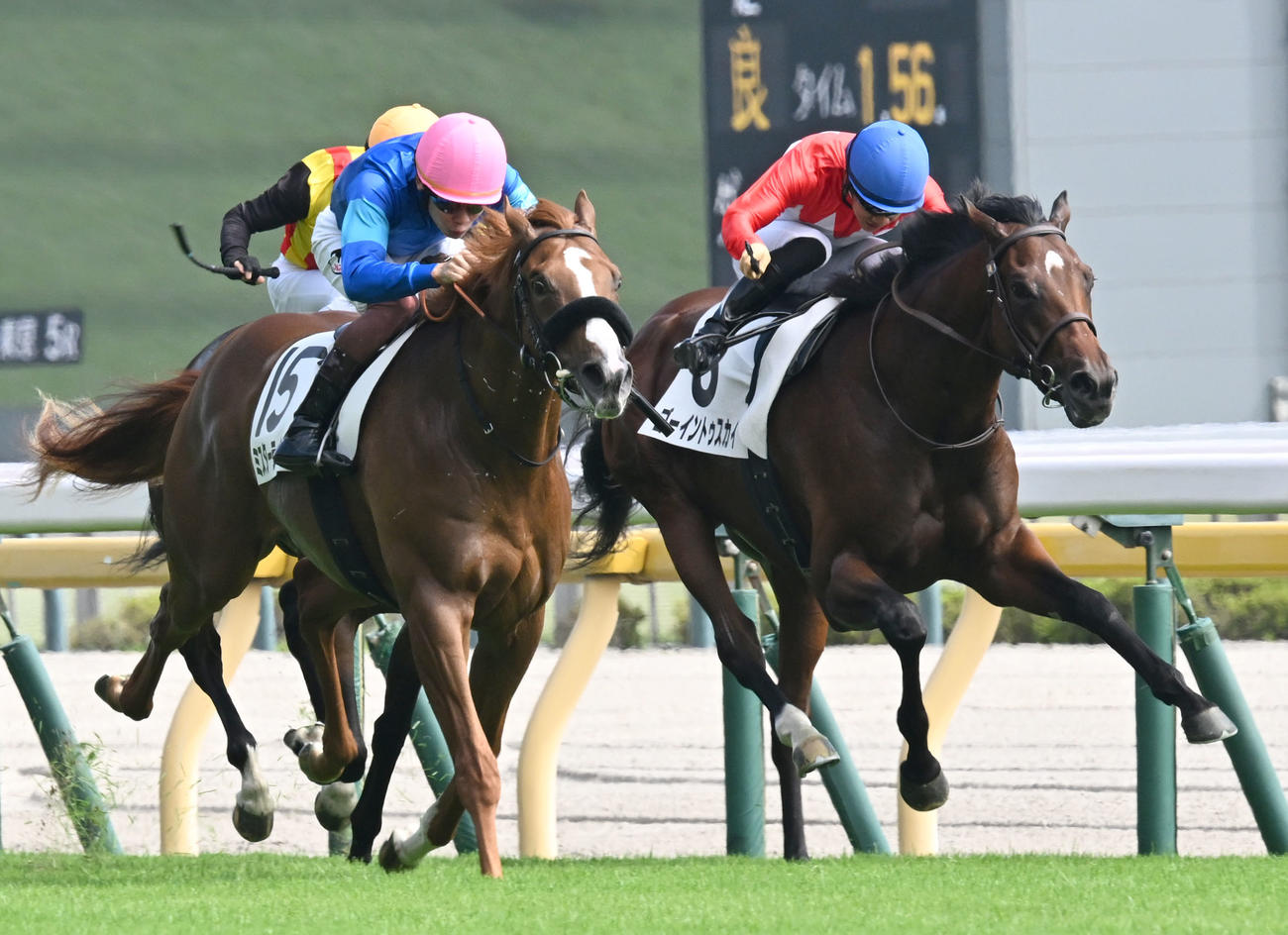 東京5R、2歳新馬戦を制したゴーイントゥスカイ（右）（撮影・千葉一成）