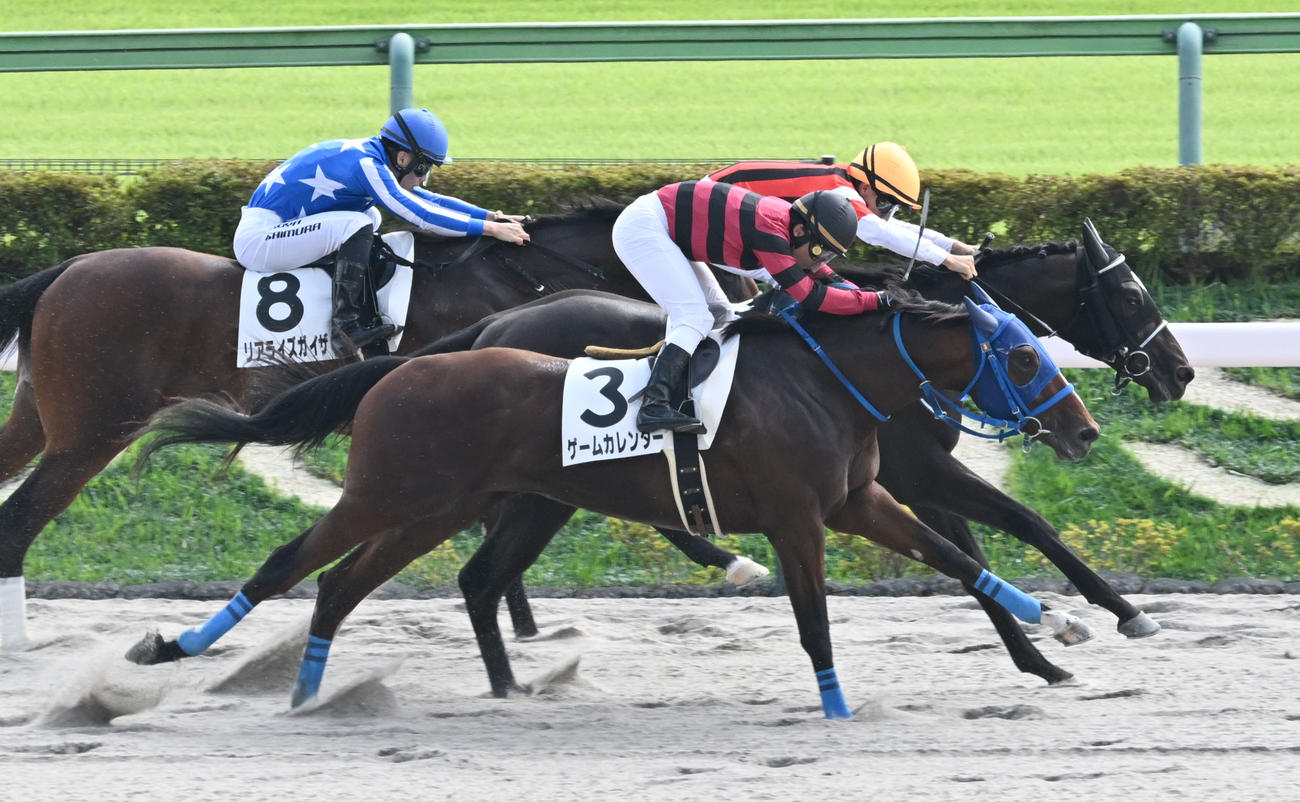 東京6R、2歳新馬戦を制したゲームカレンダーと丸田騎手（手前）（撮影・千葉一成）