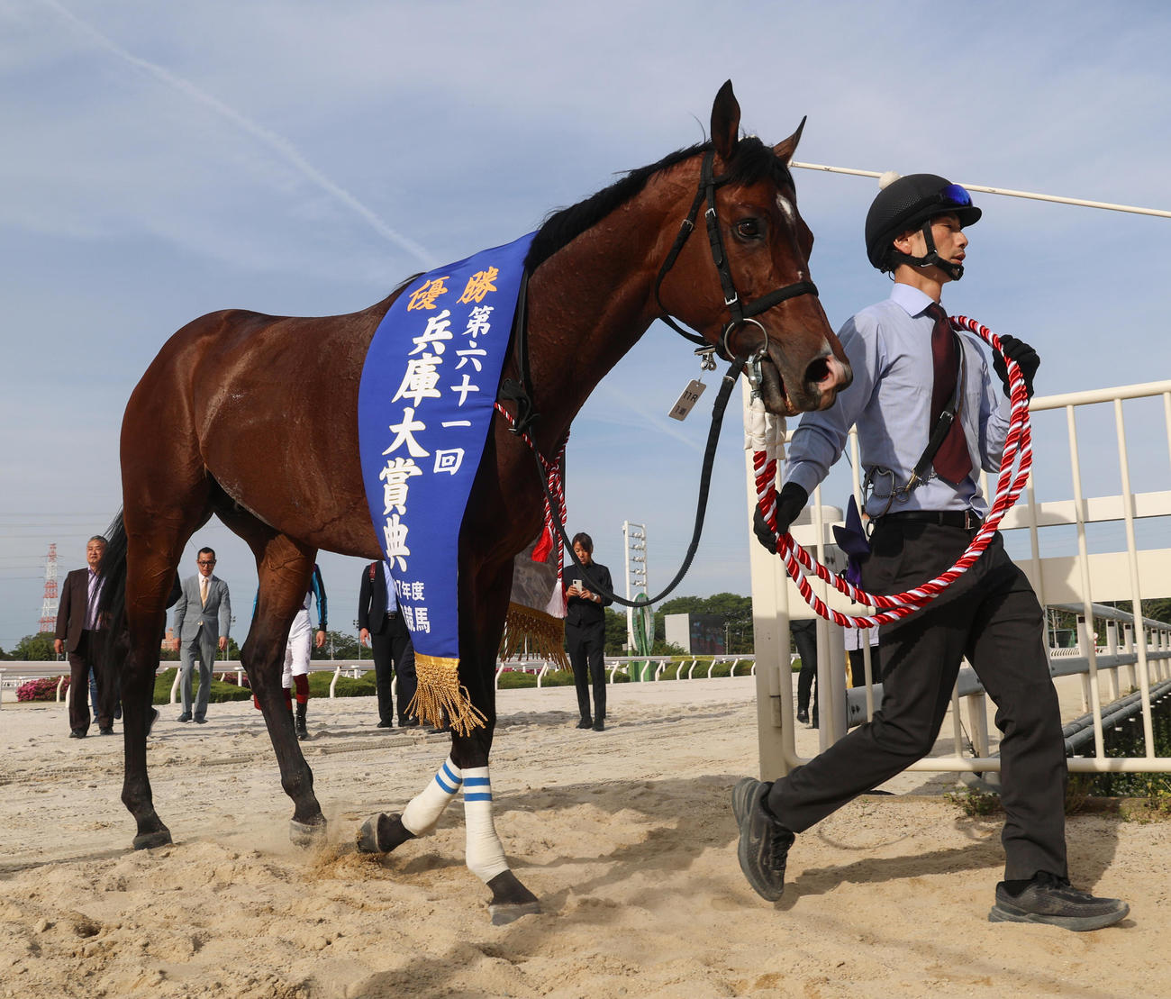 兵庫大賞典を制し、優勝レイを掛けられるイグナイター（2025年5月5日撮影）