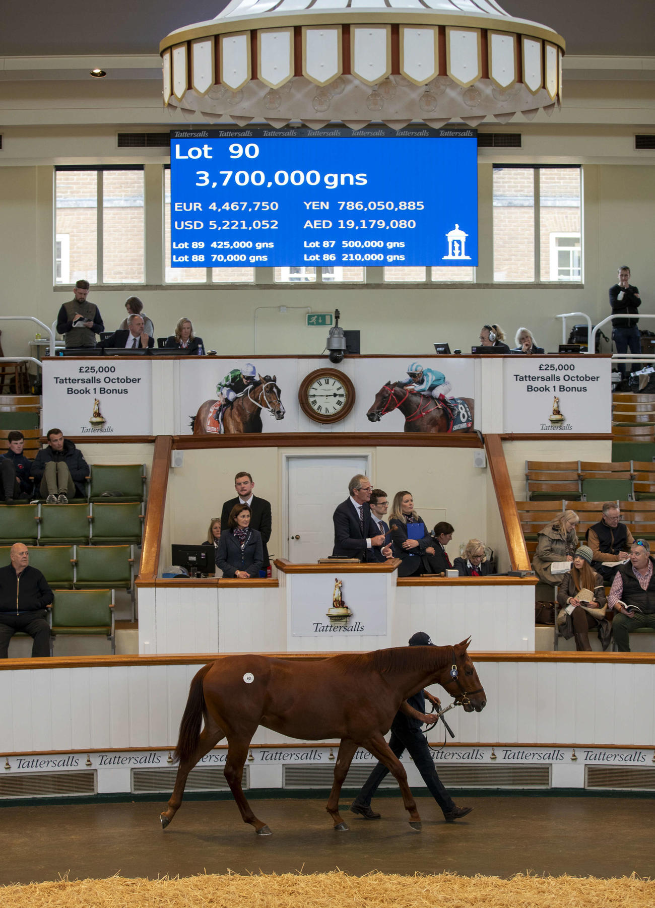 ゴドルフィンが初日最高落札額で落札したシーザスターズ産駒（C）Tattersalls