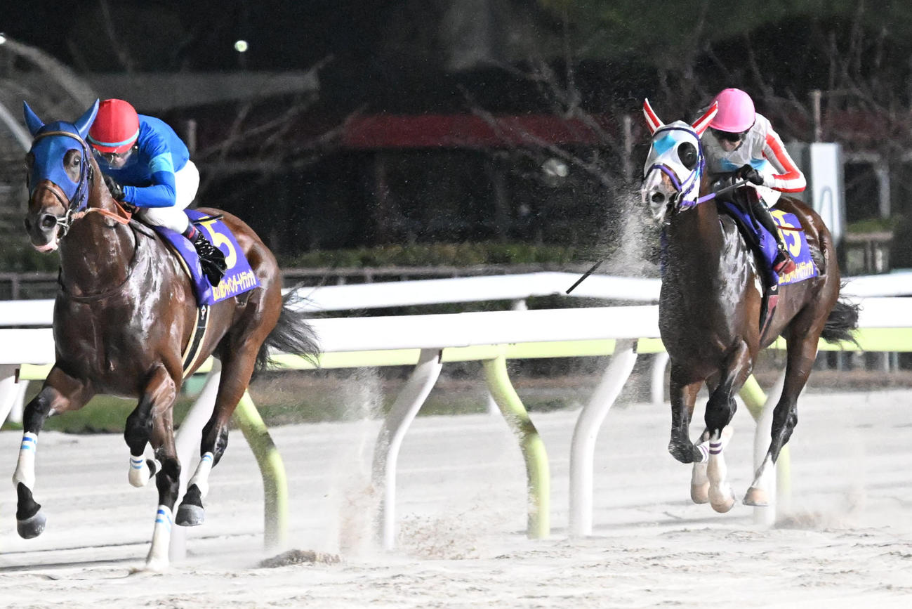 ジャパンダートC】ナチュラルライズ2着でダート3冠ならず、横山武