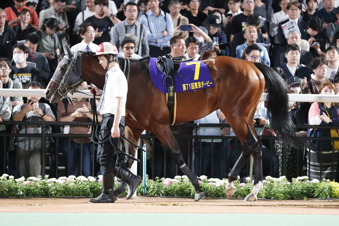 ジャパンダートクラシックに出走するスマイルマンボ（C）東京シティ競馬