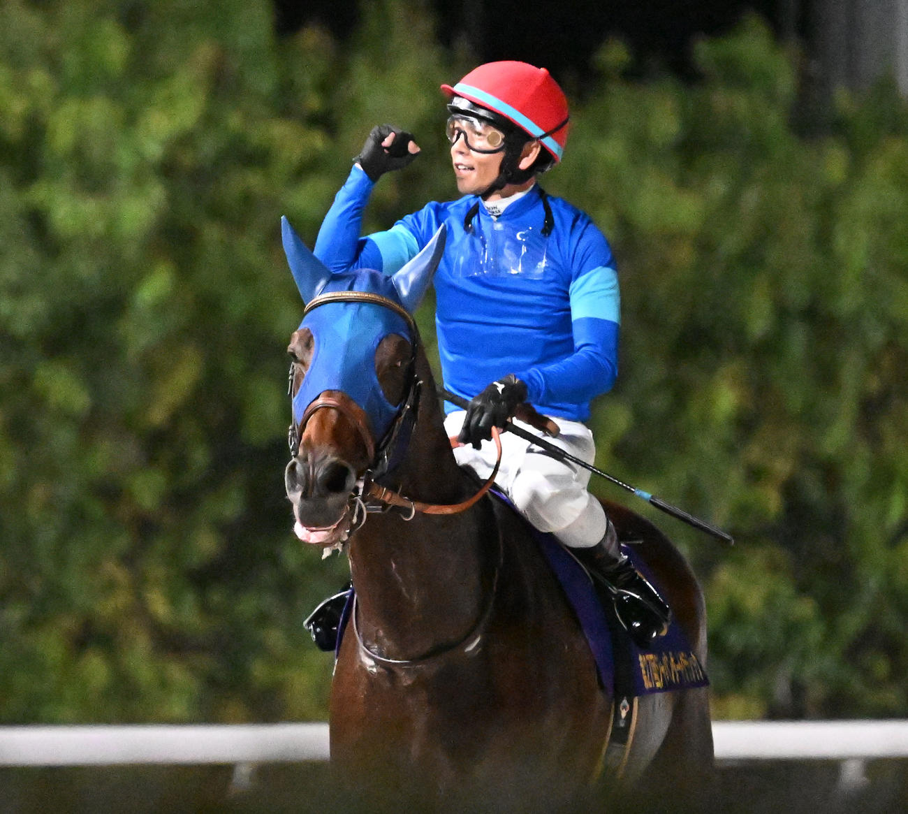 第27回ジャパンダートCを制、ナルカミの鞍上でガッツポーズする戸崎騎手（撮影・千葉一成）