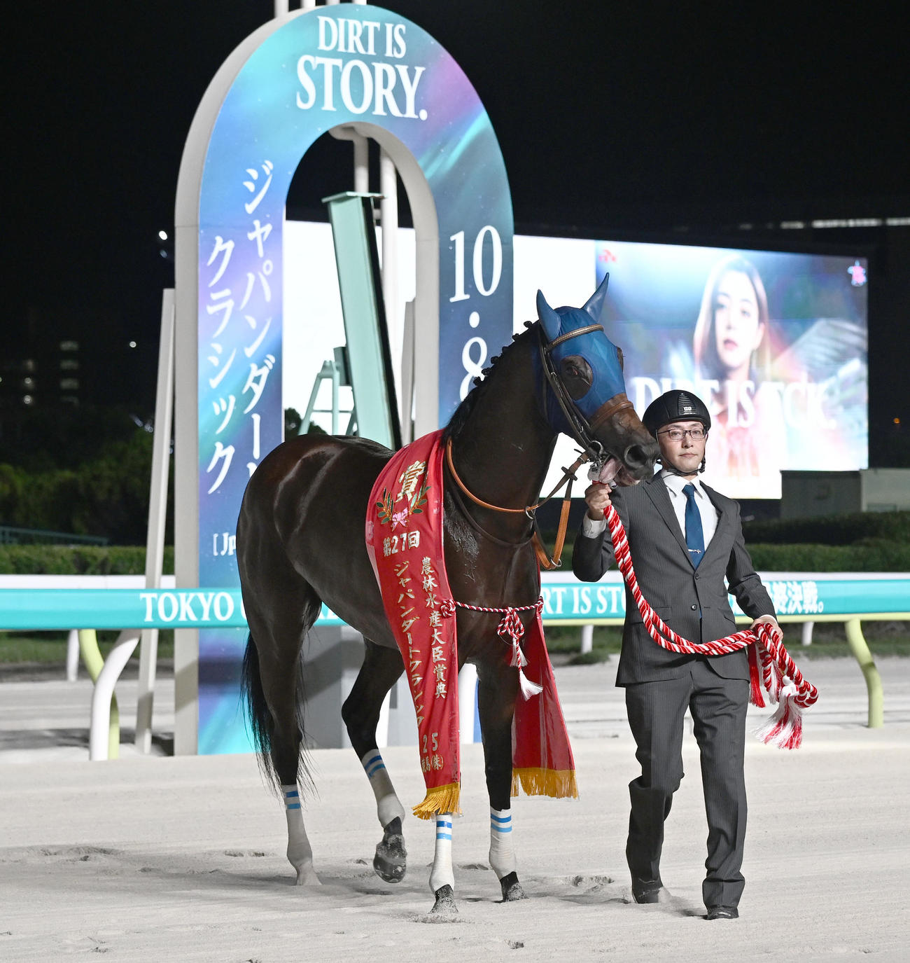 第27回ジャパンダートCを戸崎騎手で制したナルカミ（撮影・千葉一成）