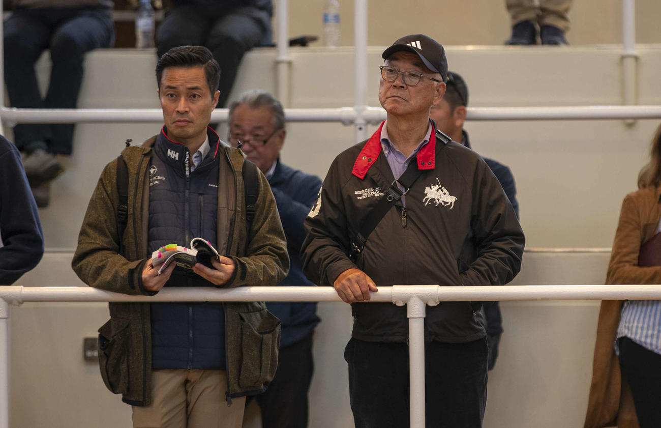 タタソールズ・オクトーバーセールに参加する杉山晴紀調教師（左）と草間庸文氏（C）Tattersalls