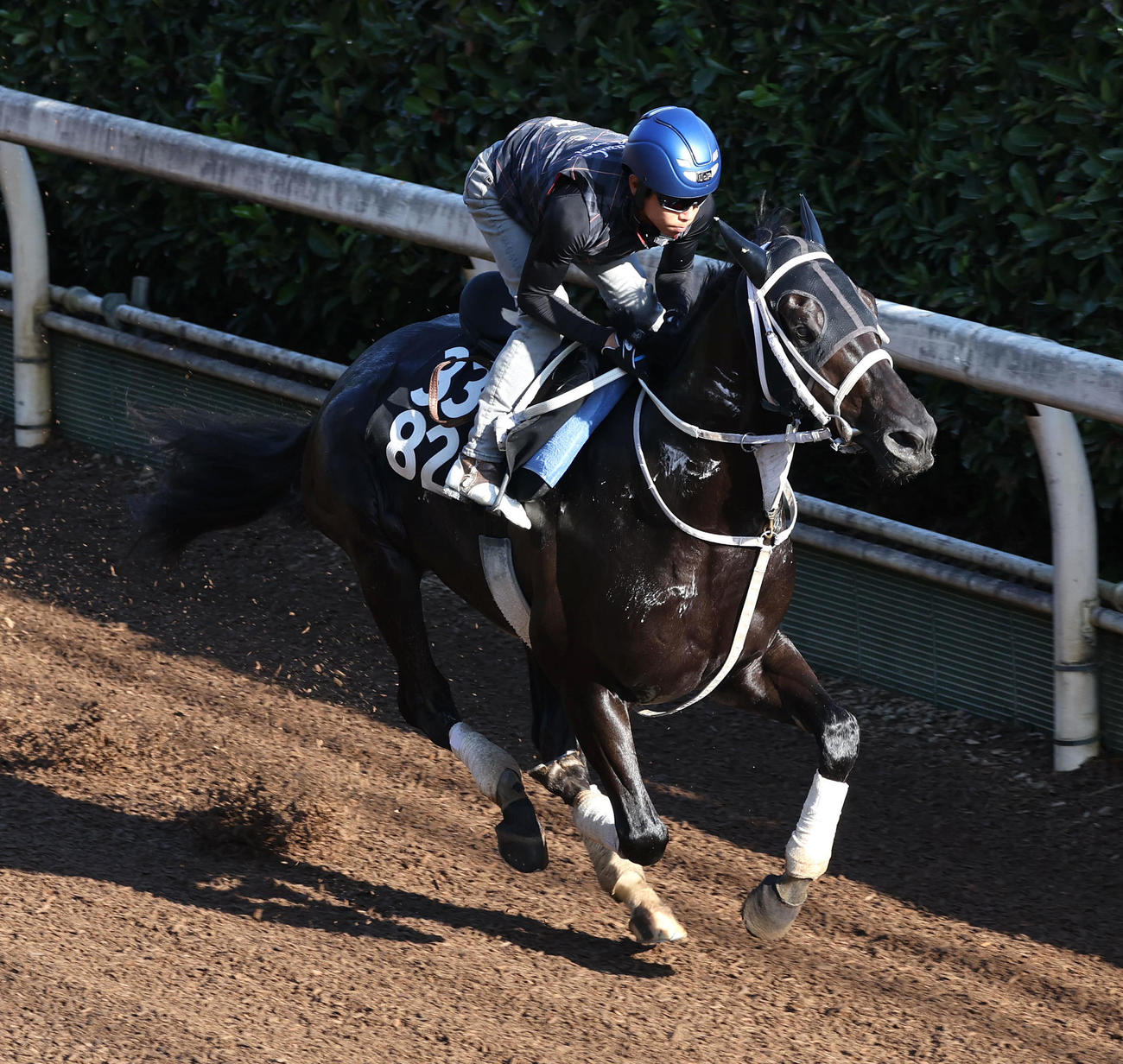 北村友騎手を背に坂路を単走で追い切るチュウワカーネギー（撮影・白石智彦）