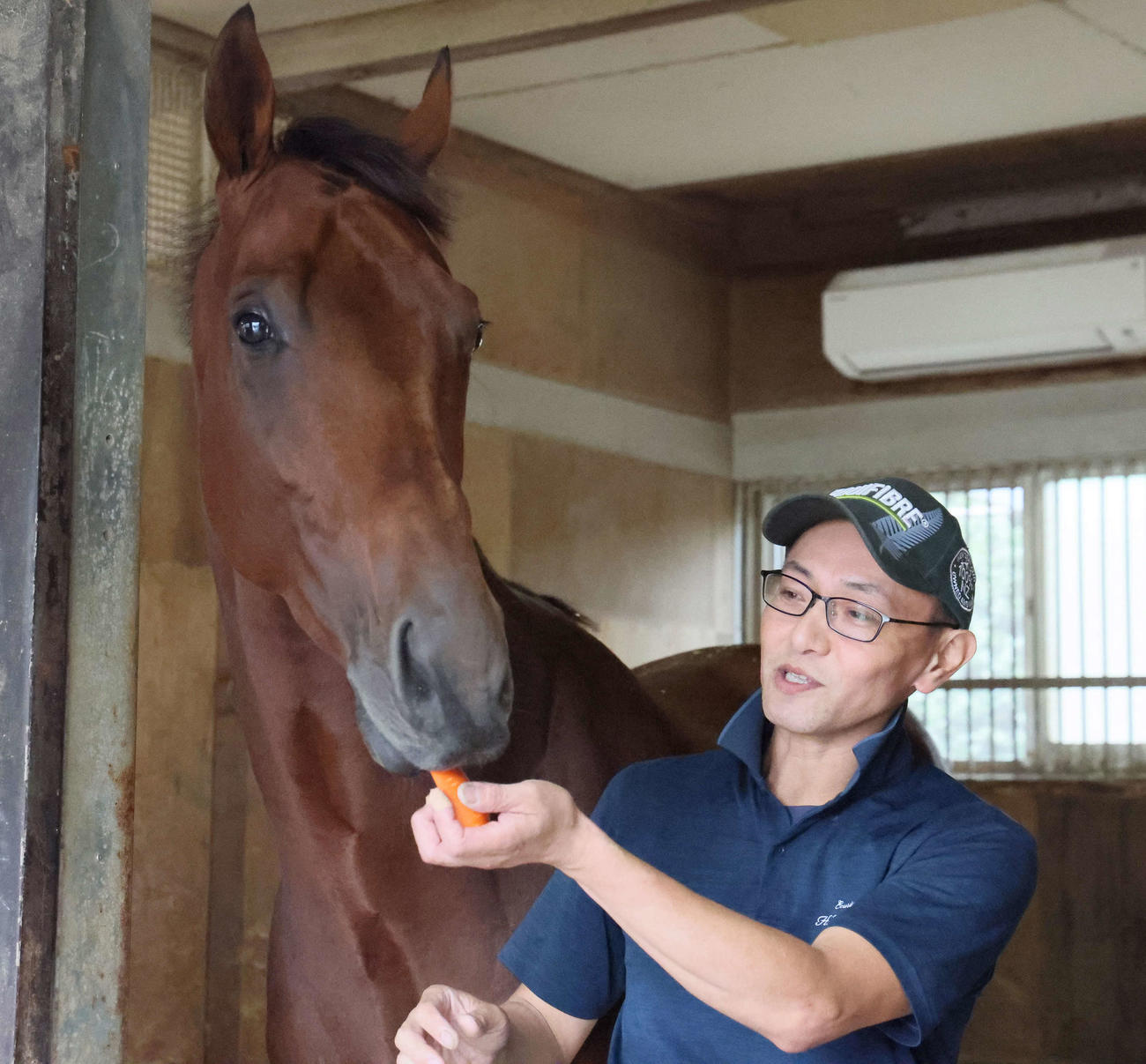 ジャパンダートCの優勝から一夜明けて、担当の田端厩務員から人参をもらうナルカミ（撮影・丹羽敏通）