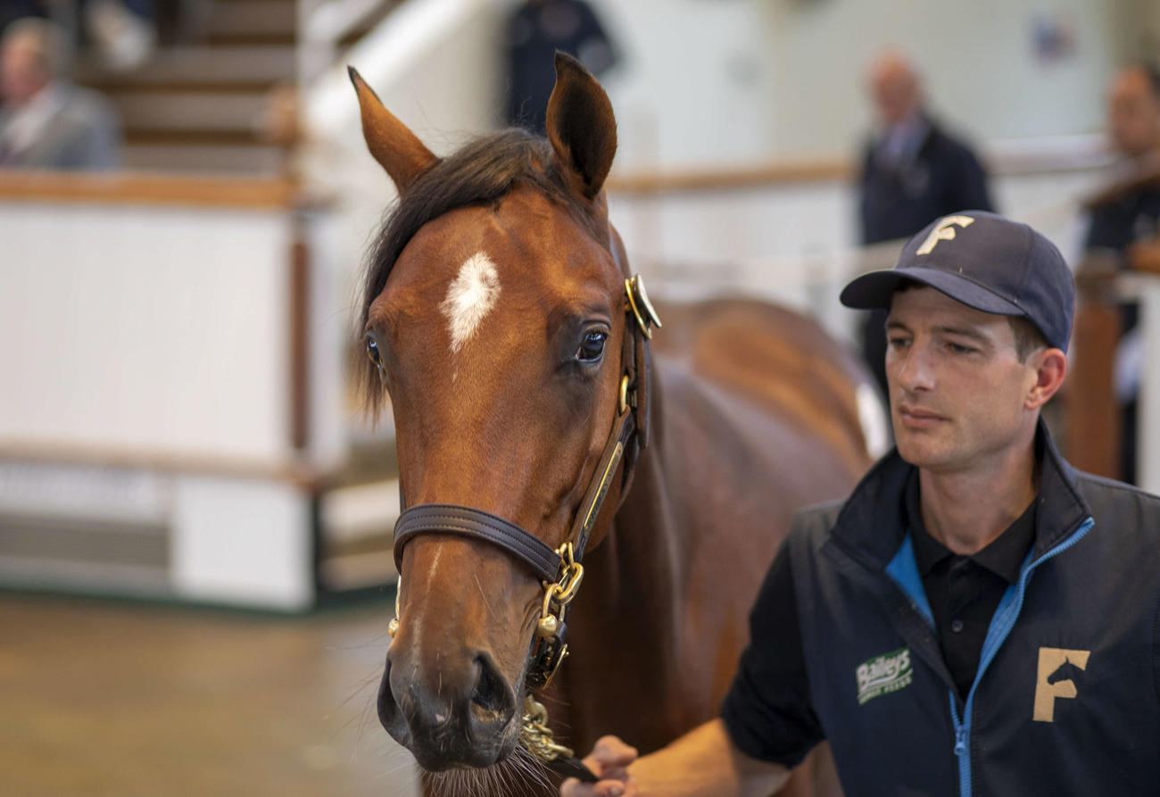 2日目に220万ギニーでゴドルフィンが落札したフランケル産駒（C）Tattersalls