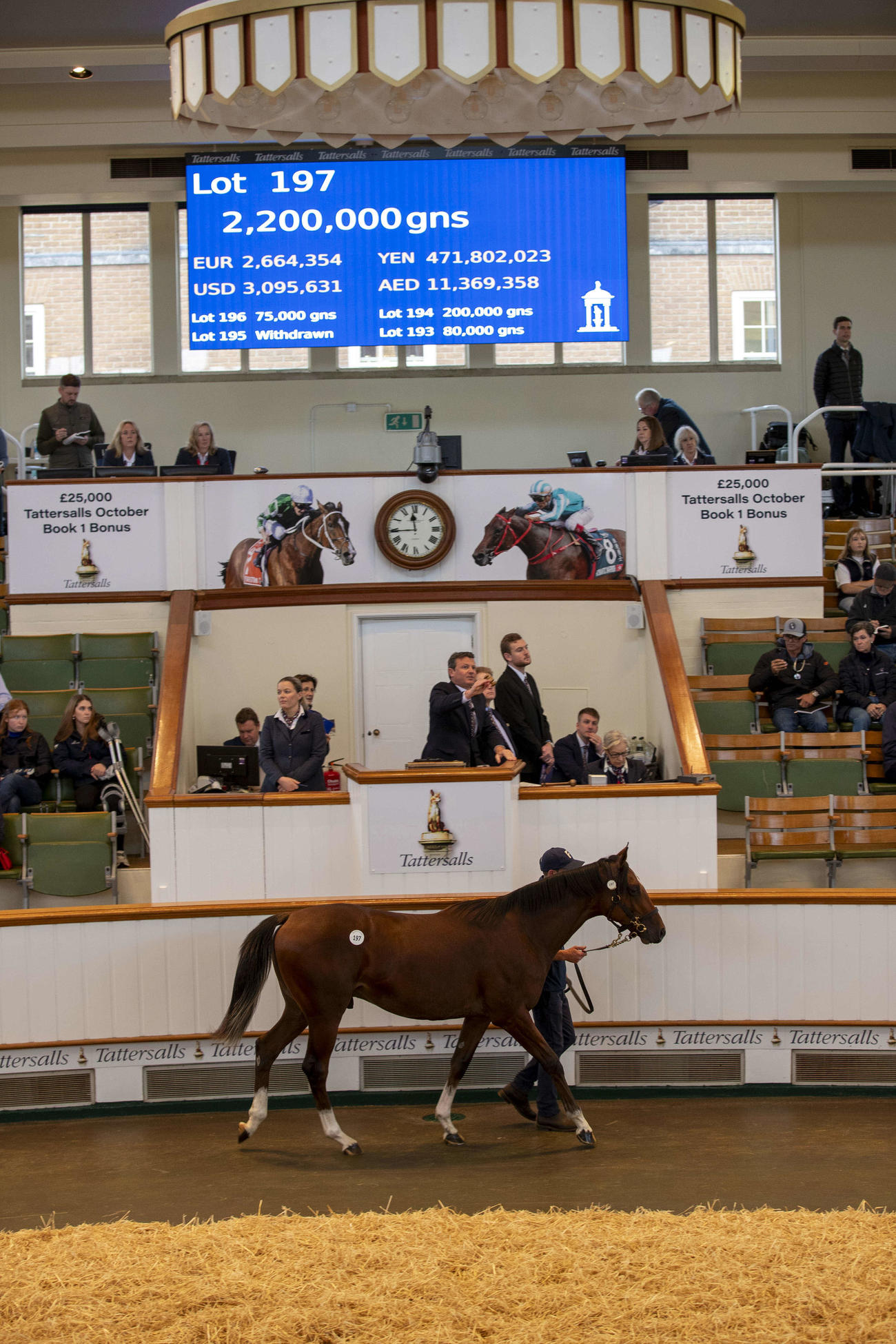 2日目に220万ギニーでゴドルフィンが落札したフランケル産駒（C）Tattersalls