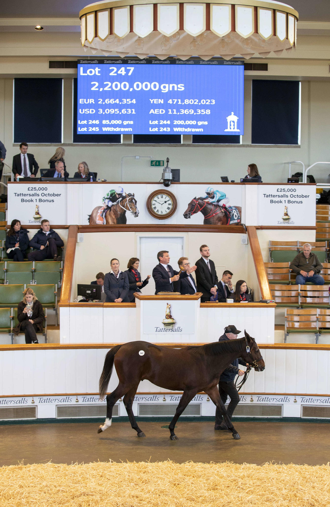 2日目に220万ギニーで落札された上場番号247番のウートンバセット産駒（C）Tattersalls