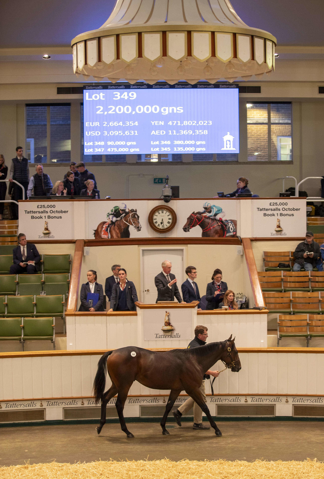 2日目に220万ギニーで落札された上場番号349番のウートンバセット産駒（C）Tattersalls