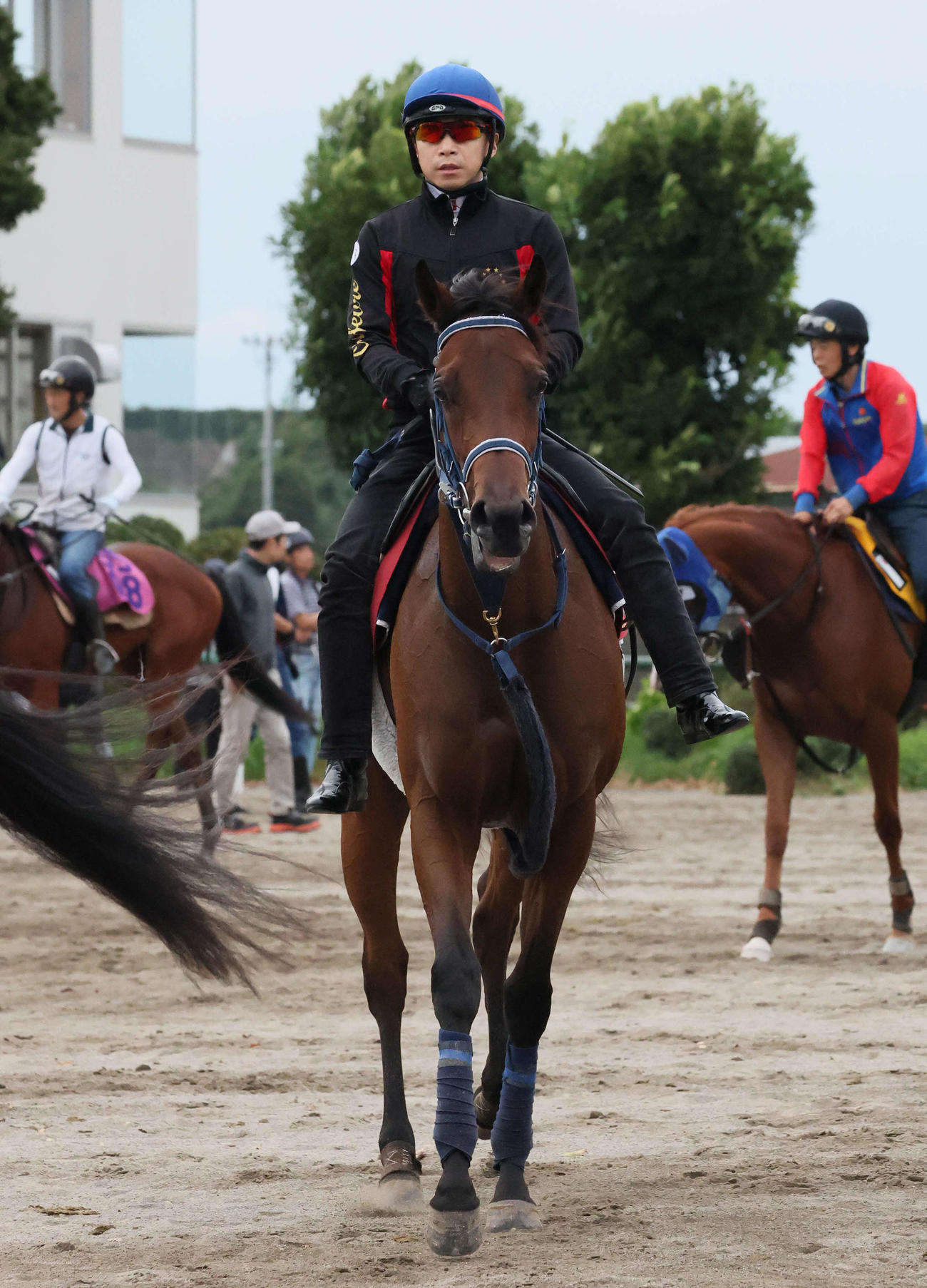 追い切りを終えて馬場を出るブラウンラチェットと池添騎手（撮影・丹羽敏通）