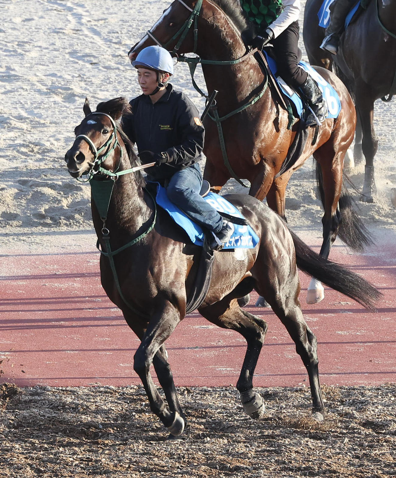 小坂騎手を背に馬場入りするランスオブカオス（撮影・白石智彦）