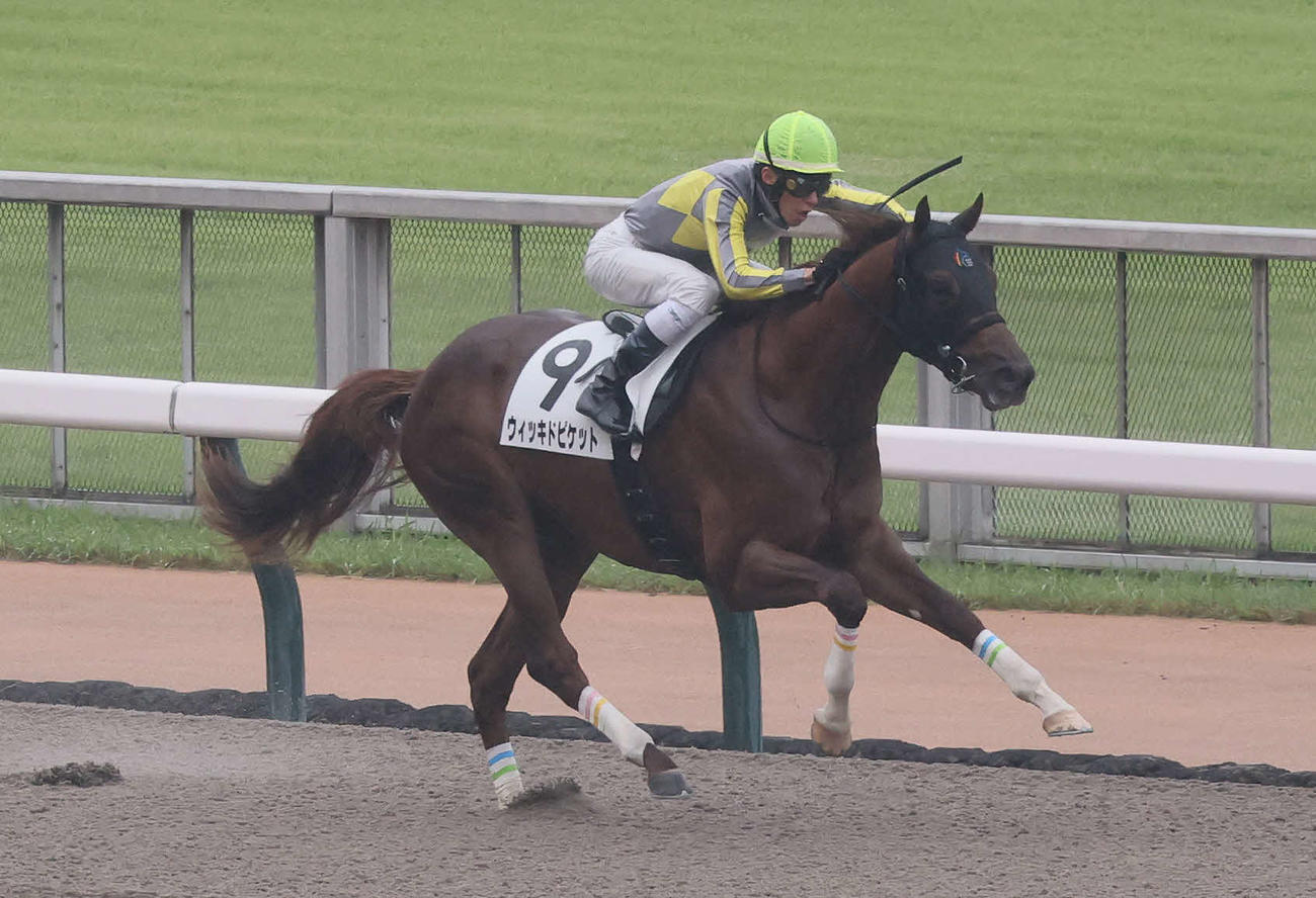 東京4R、2歳新馬戦を快勝したウィッキドピケットと津村騎手（撮影・丹羽敏通）