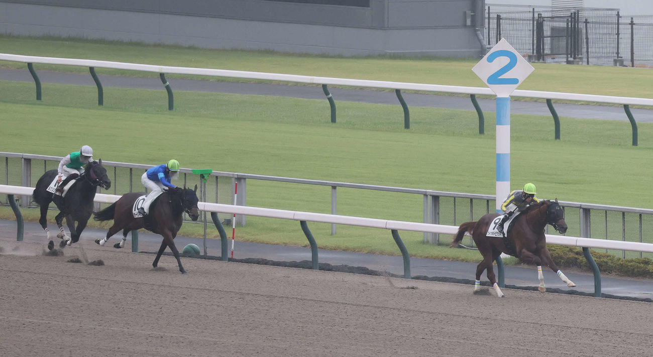 東京4R、2歳新馬戦を快勝したウィッキドピケットと津村騎手（撮影・丹羽敏通）