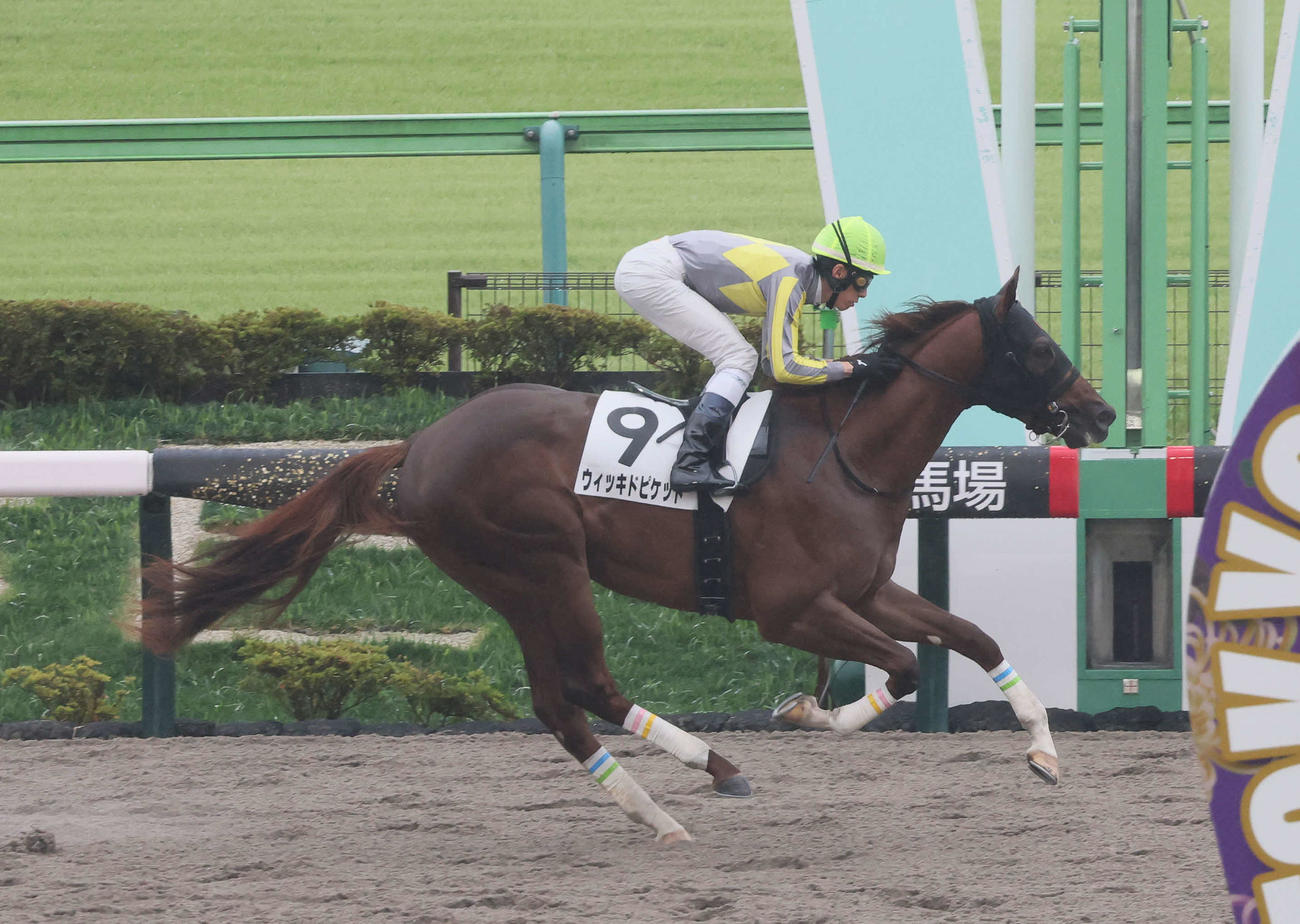 東京4R、2歳新馬戦を快勝したウィッキドピケットと津村騎手（撮影・丹羽敏通）