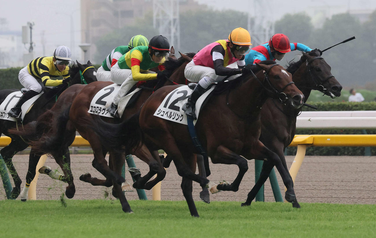 東京5R、2歳新馬戦を制したシュペルリングと津村騎手（手前）（撮影・丹羽敏通）