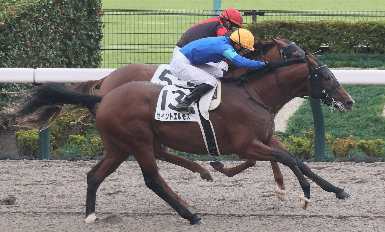 東京6R、2歳新馬戦を制したセイントエルモズと菅原明騎手（手前）（撮影・丹羽敏通）
