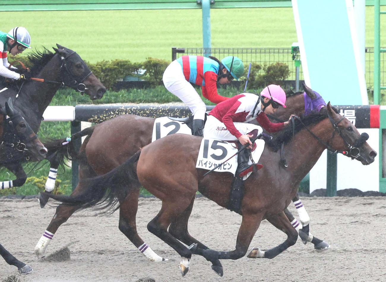 東京8R2着に敗れたタマモカンパネラと谷原柚希騎手（奥）。手前は勝ったパイシャオピン