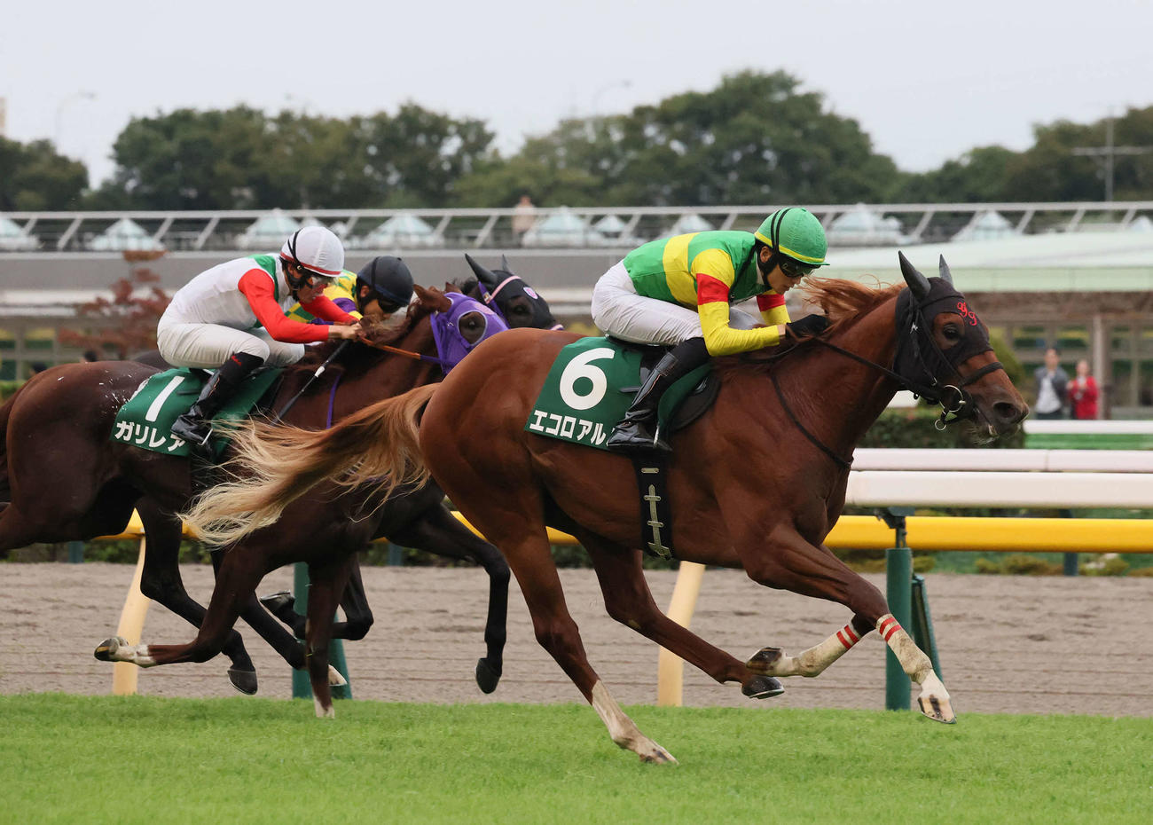 サウジアラビアRC2着に入ったガリレア（左）（撮影・丹羽敏通）