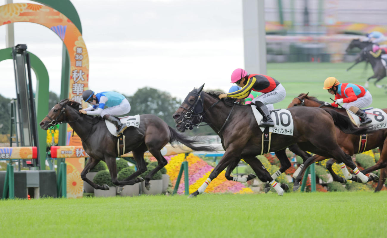 京都7R、3歳以上1勝クラスを制したアラベラ。右は2着のマディソンガール（撮影・宮崎幸一）