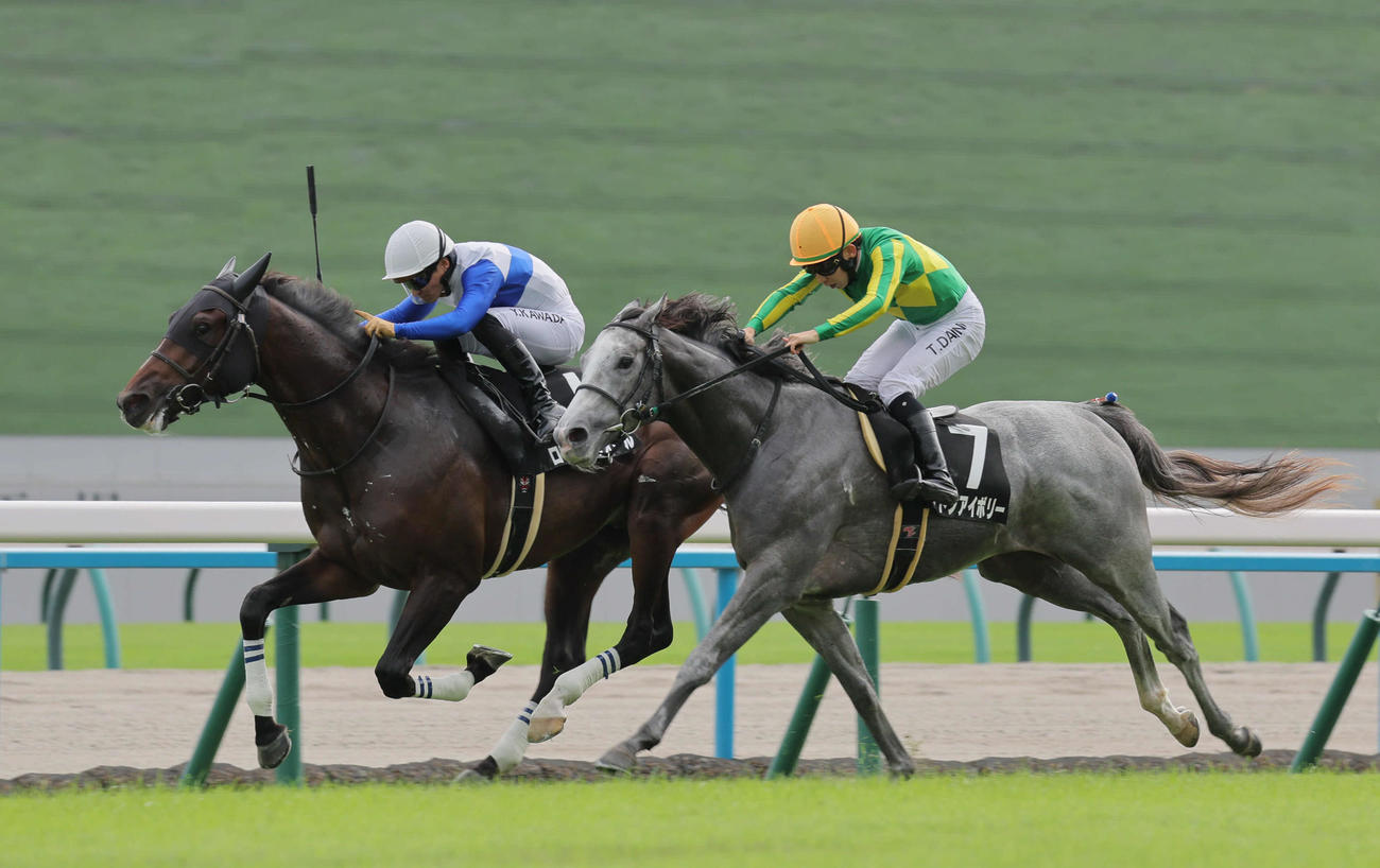 京都8R紫菊賞を制したロードラヴォール。右は2着のサトノアイボリー（撮影・宮崎幸一）