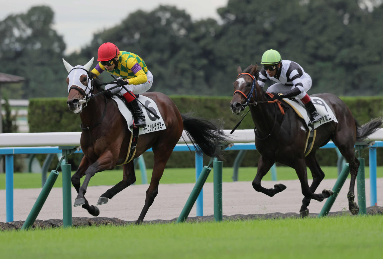 京都5R、新馬戦を制したマーゴットラヴミー。右は2着のナオミニオールイン（撮影・宮崎幸一）