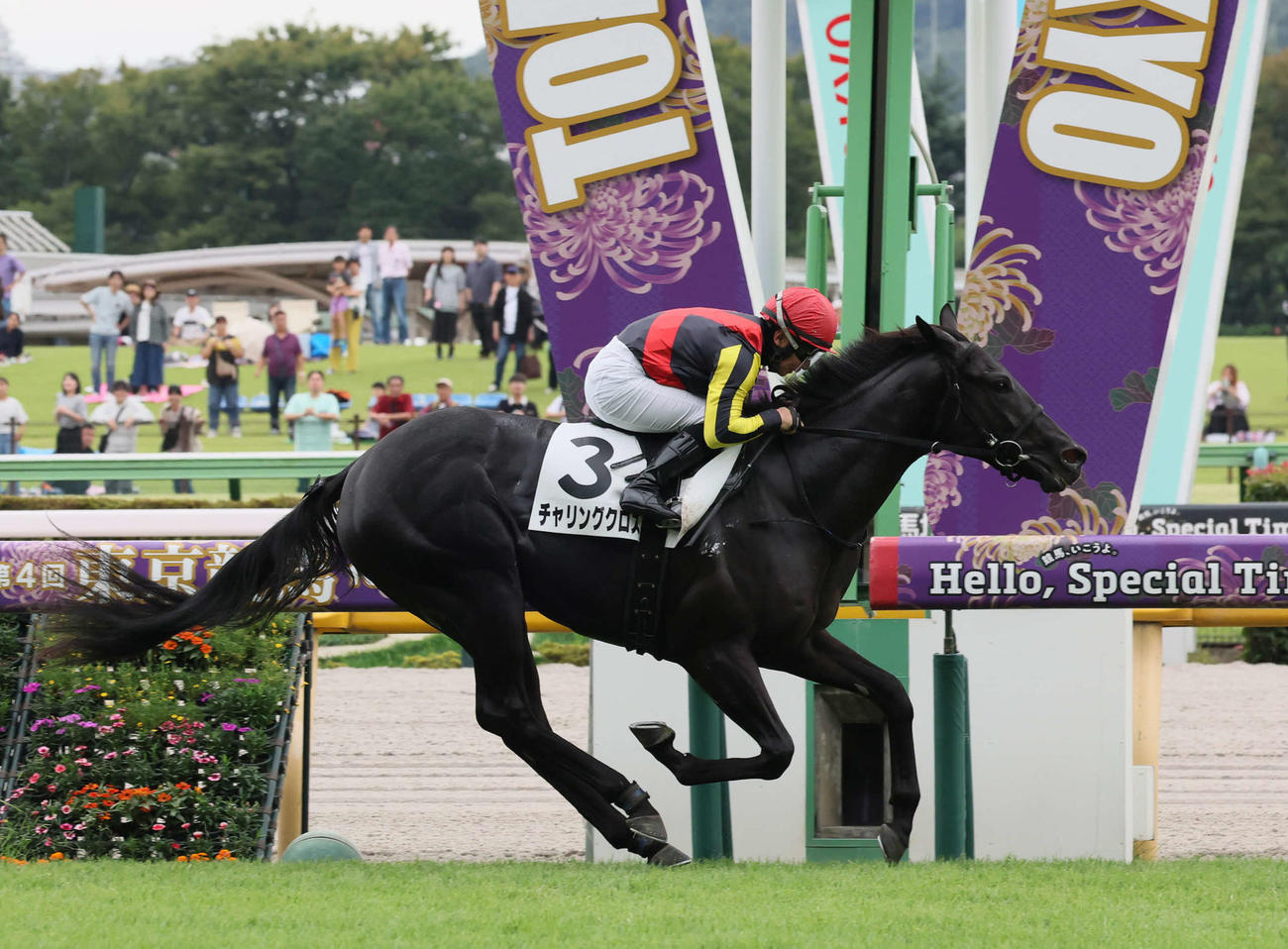 東京3R、2歳未勝利戦を制したチャリングクロスと内田騎手（撮影・丹羽敏通）