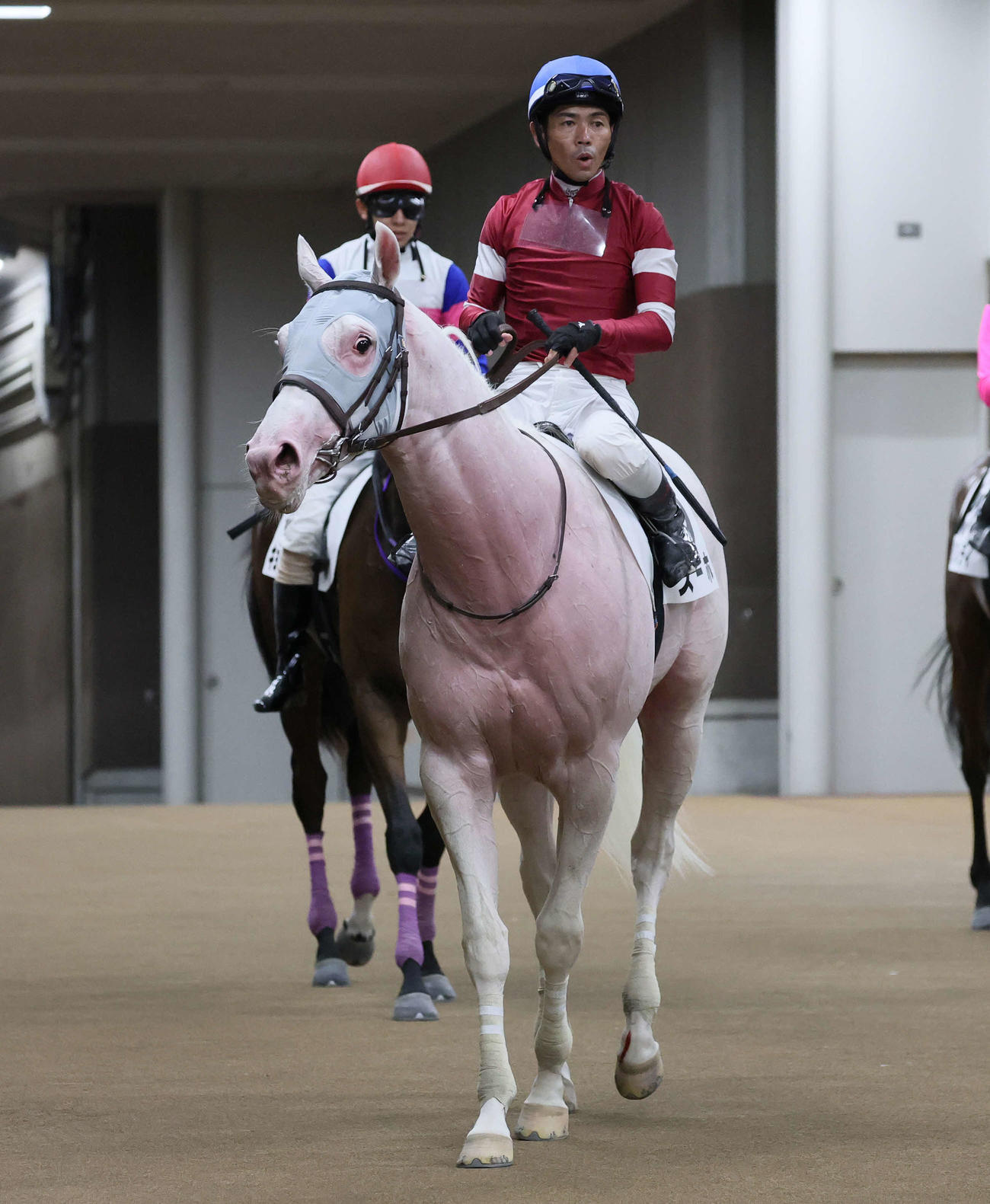 東京4R、デビュー戦で7着に敗れたスーホと戸崎騎手（撮影・丹羽敏通）